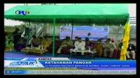 PLAY (klik di sini) KETAHANAN PANGAN DI MASA NEW NORMAL, BUPATI KAMPAR TEBAR 100.000 BENIH IKAN